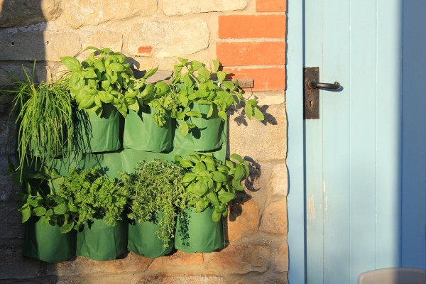 Hänge-Pflanztaschen für Kräuter