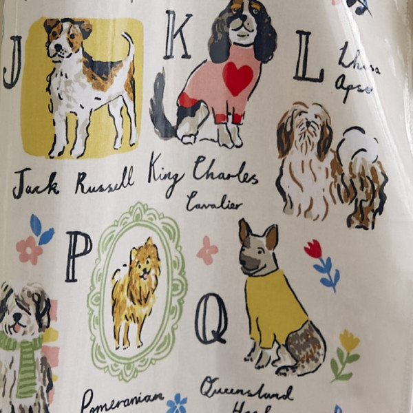 Unterschiedliche Hunderassen, die sich von ihrer besten Seite zeigen