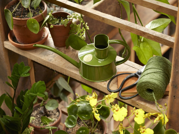 Haws Zimmergießkanne Pot Waterer 1 Pint | Farngrün