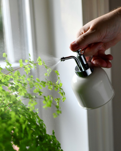 Feinzerstäuber | mit feinem Sprühnebel | Burgon & Ball