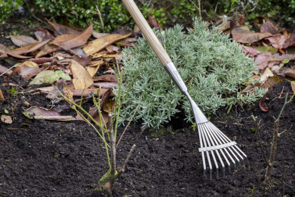 Shrub Rake von Burgon & Ball - um zwischen Sträuchern aufzuräumen