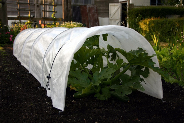 Easy Pflanztunnel Fleece, von Haxnicks