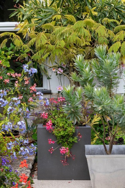 Kübel-, Erd- & Kompostschaufel