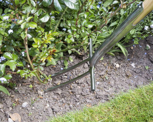 Rosengabel | zum Belüften der Wurzeln