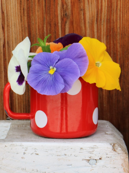 Emailletasse | Rot mit Punkten